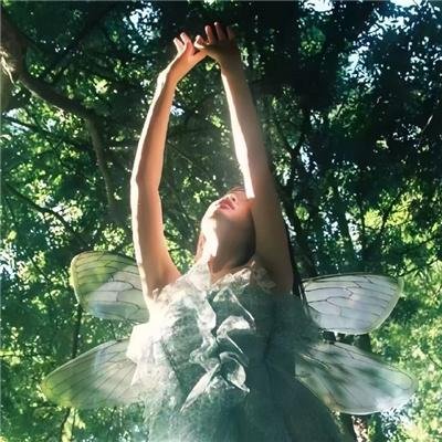 全美明星校花